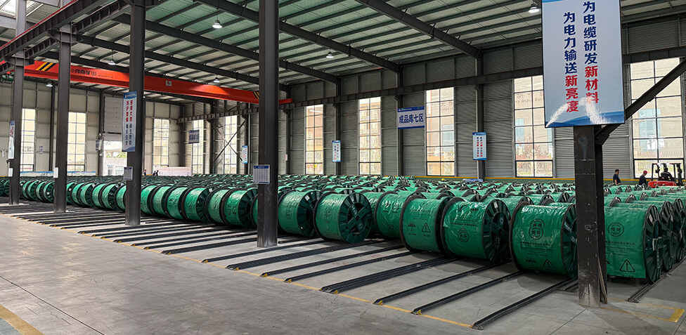 Lead-Quenched-Steel-Wire-for-Aluminum-Clad-Steel-Wire07
